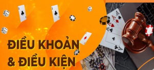Mục đích điều khoản điều kiện 33win