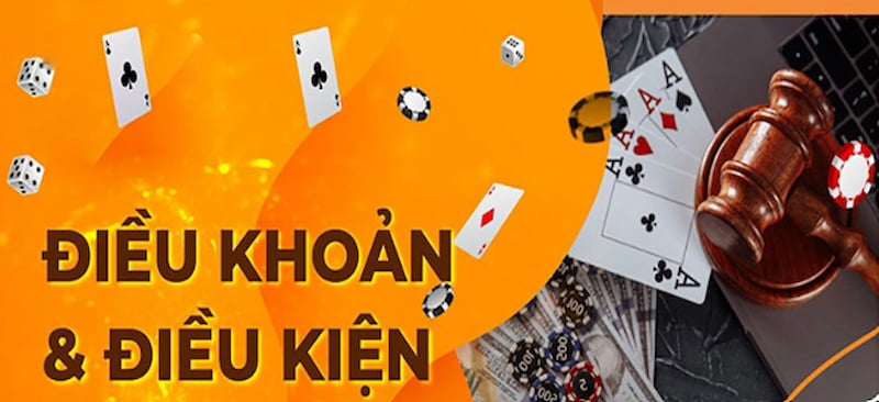Mục đích điều khoản điều kiện 33win