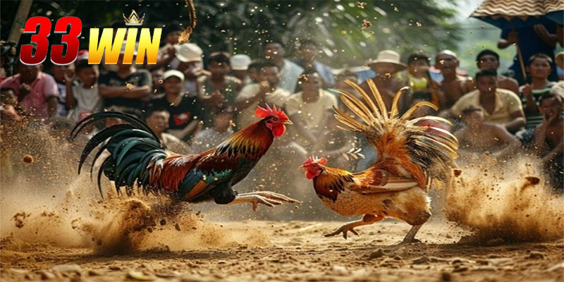 Chuỗi chiến thắng liên tiếp đáng kinh ngạc