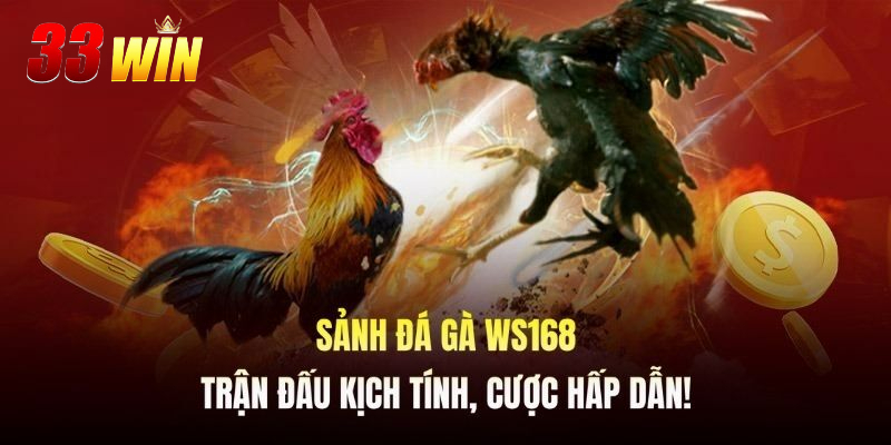 WS168 Đá Gà tại 33WIN