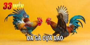 Kinh nghiệm đá gà cựa dao